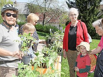 Bei der Tauschaktion für Staudenaktion fand jeder Hobbygärtner etwas Passenden für seinen Garten. Johanna Stöcklein hat Tomaten ins Auge gefasst.  Foto: Wolfgang Desombre