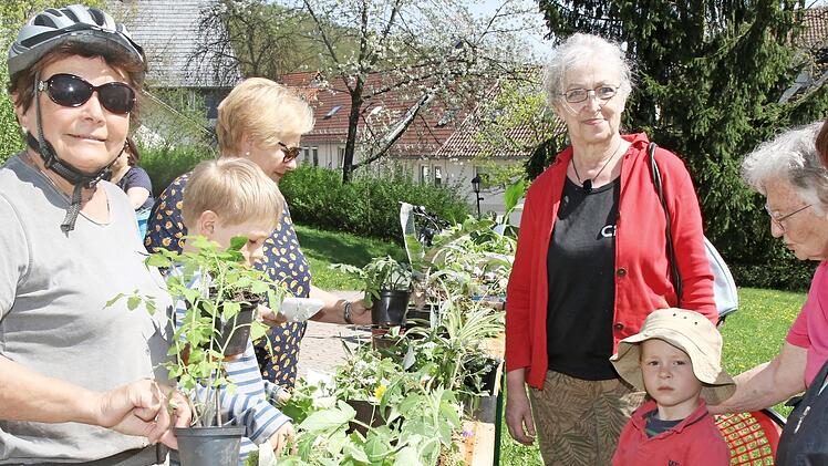 Bei der Tauschaktion für Staudenaktion fand jeder Hobbygärtner etwas Passenden für seinen Garten. Johanna Stöcklein hat Tomaten ins Auge gefasst.  Foto: Wolfgang Desombre