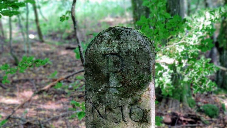 Versteckt im Bad Brückenauer Stadtwald: Ein Relikt aus längst vergangenen Zeiten.  Foto: Julia Raab