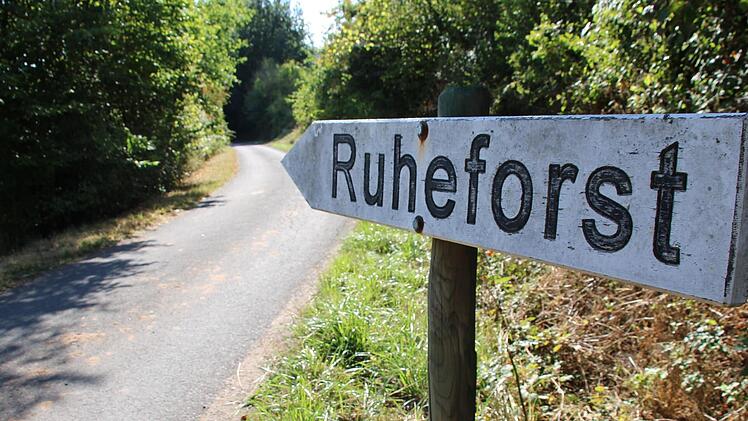 Die Straße zum Ruheforst in Eckarts liegt an landwirtschaftlich genutzten Flächen. Foto: Julia Raab
