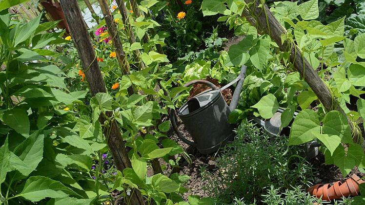 Impressionen von der Landesgartenschau in Bayreuth Foto: Dagmar Besand