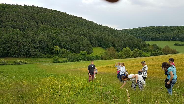 Apotheker Sebastian Hose führt zu Heilpflanzen am Wegesrand -  mit dem coronabedingten Abstand. Foto: Elisabeth Assmann