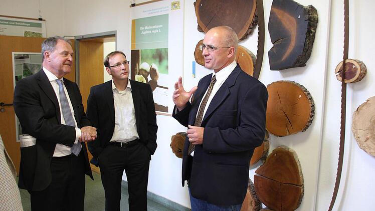 Holzarten lassen sich aufgrund der Zusammenarbeit mit Revierförster Gnannt bestimmen.