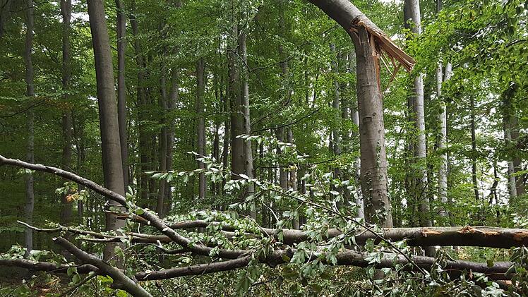 Der Sturm hat im Felsengarten eine Schneise der Verwüstung hinterlassen.