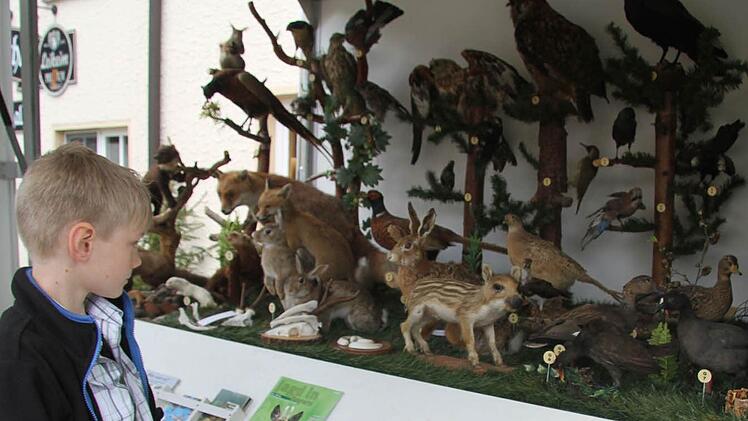 Alexander Held war fasziniert von den vielen Wildtieren, die es beim Dorffest zu sehen gab. Foto: Sonja Adam