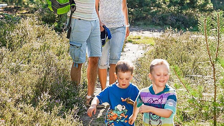 Die Heide erkunden - zahlreiche Wanderwege führen durch das Naturschutzgebiet, viele sind auch für Kinder bestens geeignet.