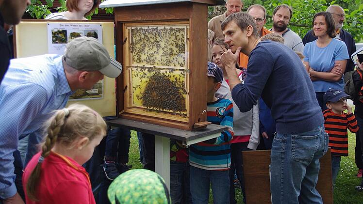 Sven Arnold zeigt den Kindern Waben eines Bienenstocks.