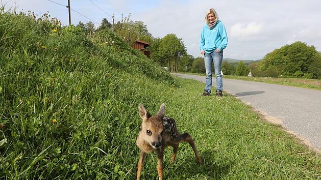 Jessica Sebald päppelt am Sternenhof in Gößweinstein Rehkitz "Sissi" auf. Fotos: Barbara Herbst