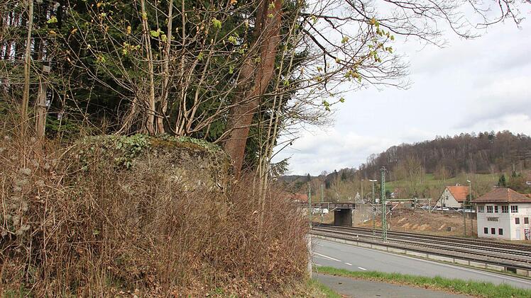 Die Stellung an der Nordbrücke ist von Bewuchs überwuchert.  Foto: Friedwald Schedel