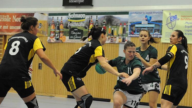 Einen verdienten Punkt holte die SG Garitz/Nüdlingen (grüne Trikots) gegen die TS Herzogenaurach. Foto: Hopf