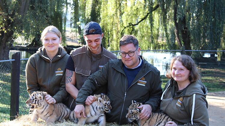 Tigerdrillinge im Tierpark Str&ouml;hen