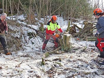 Die beiden Naturpark-Ranger Anna-Lisa Haber und Jan van der Sant im Rodungseinsatz zusammen mit dem &ouml;rtlichen Leiter Michael B&uuml;ttner (von rechts)
