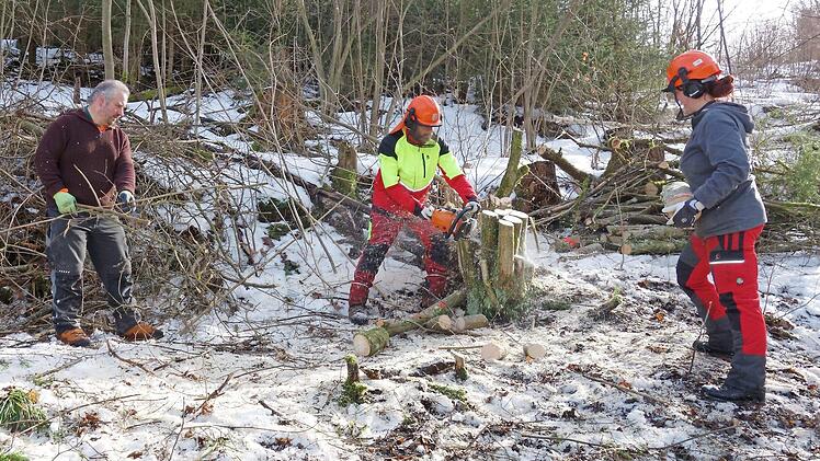 Die beiden Naturpark-Ranger Anna-Lisa Haber und Jan van der Sant im Rodungseinsatz zusammen mit dem &ouml;rtlichen Leiter Michael B&uuml;ttner (von rechts)
