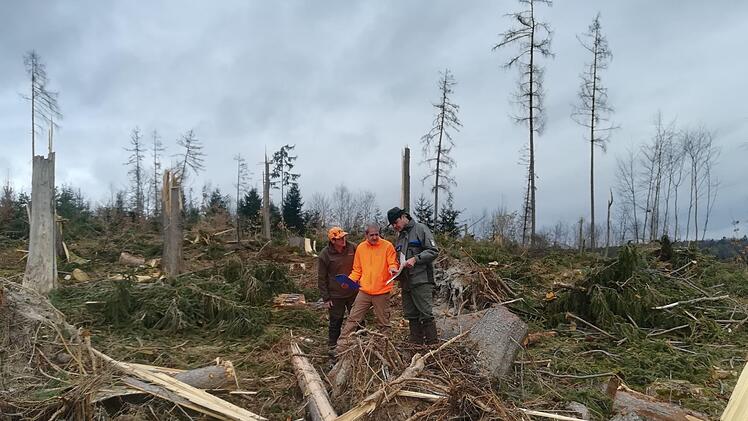 Gemeinsam begutachten (von links) Thomas Rabe, Revierleiter Crailsheimische Forstverwaltung,  Michael Hornung, Geschäftsführer der Waldbesitzerverband Steigerwald,  und  Benjamin Göbel, Forstamtmann beim  Amt für Ernährung, Landwirtschaft und Forsten Bamberg, die Fläche, auf der der Mini-Tornado gewütet hat.Diana Becht-Zwetkov