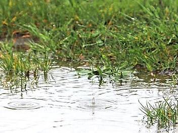 Schon nach ein bisschen Regen bilden sich Pfützen auf dem Rasenspielfeld. Foto: Ulrich Perrey/dpa