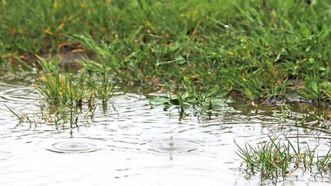 Schon nach ein bisschen Regen bilden sich Pfützen auf dem Rasenspielfeld. Foto: Ulrich Perrey/dpa