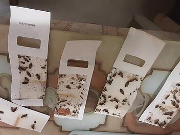 Mangelnde Hygieneverhältnisse in Nürnberger Flüchtlingsunterkunft