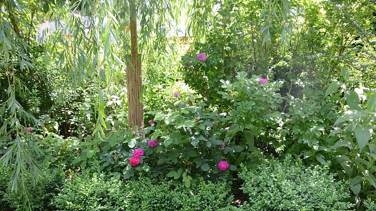 Impressionen aus dem Garten Michaelis in Schirradorf Foto: Dagmar Besand