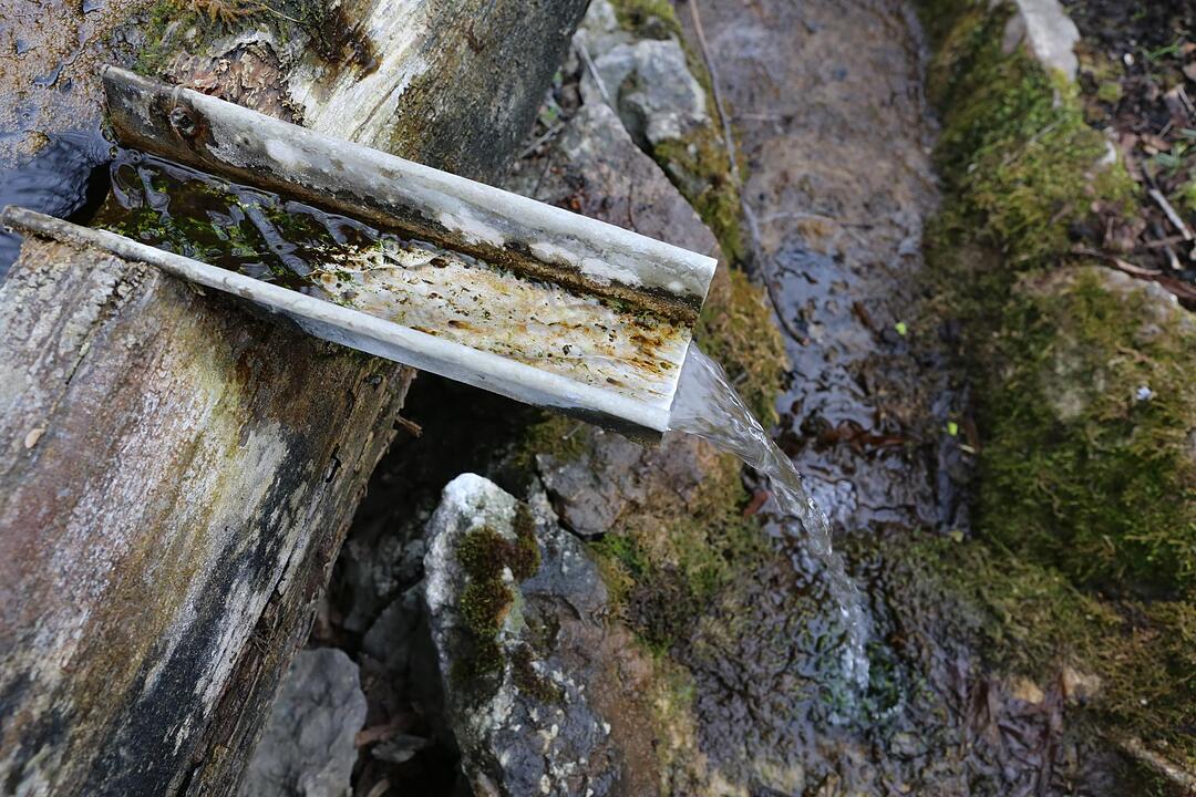 SoS Tiefenst?rmig; Gemeinde Eggolsheim; Foto: Barbara Herbst