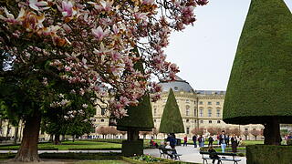 Blühendes Würzburg