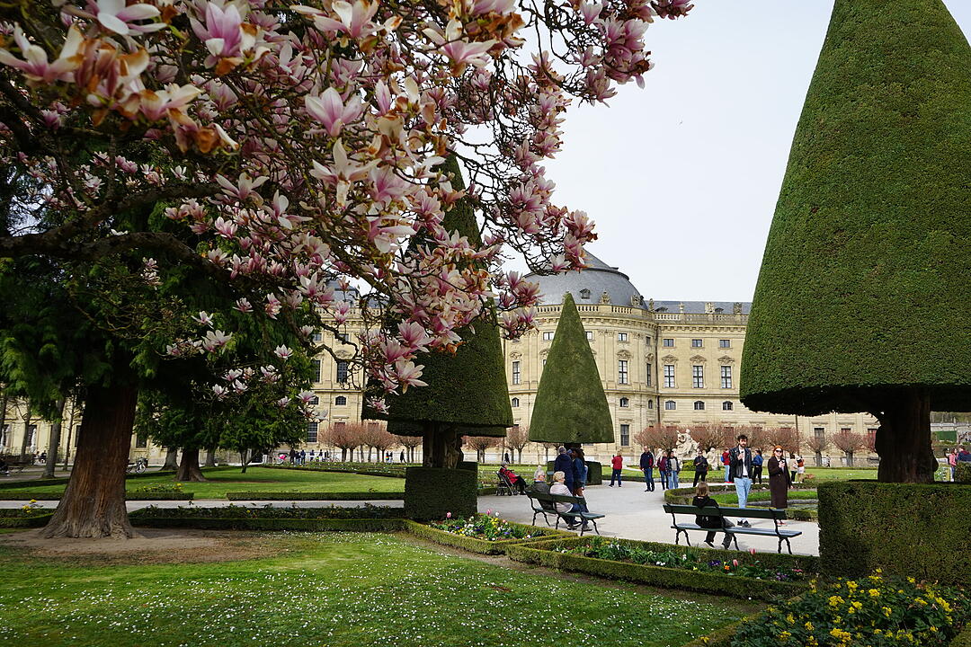 Blühendes Würzburg