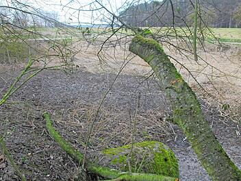 Der Weiher ist jetzt eine öde Fläche. Der mit Öl verschmutzte Schlamm muss entsorgt werden.  Foto: B. Panzer