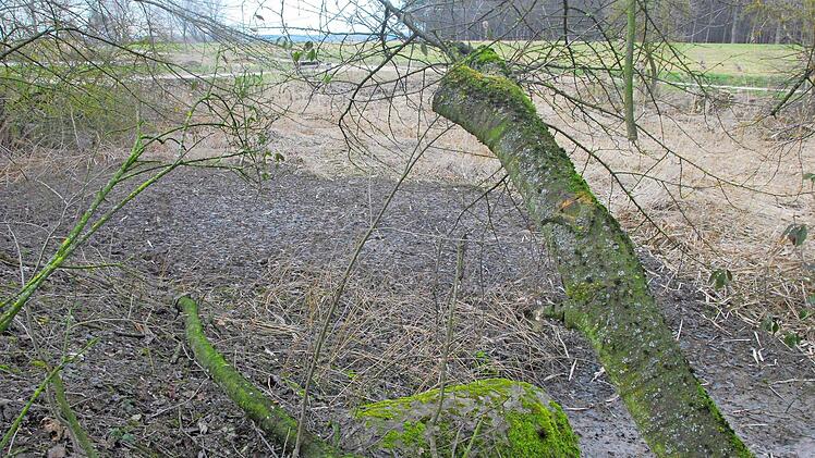 Der Weiher ist jetzt eine öde Fläche. Der mit Öl verschmutzte Schlamm muss entsorgt werden.  Foto: B. Panzer