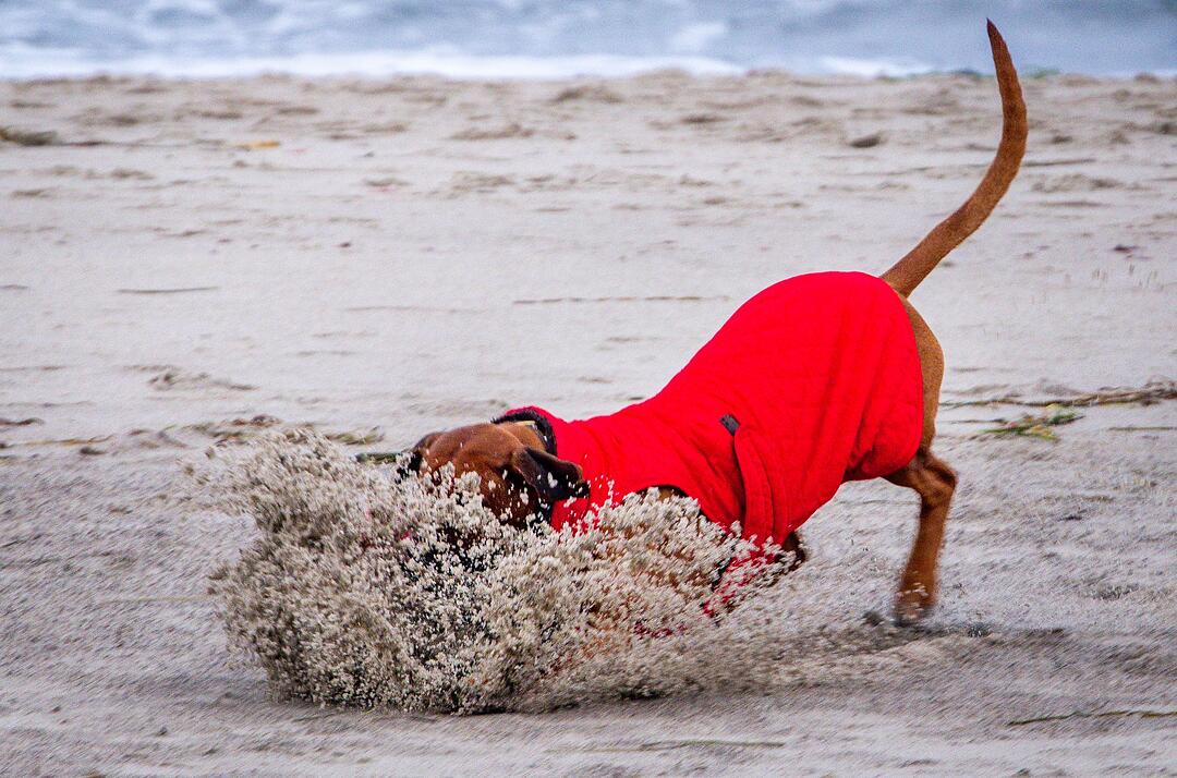Winterwetter an der Ostseek&uuml;ste