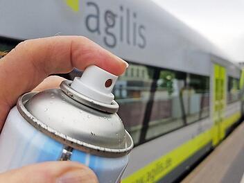 Unbekannte haben in der Nacht zum Dienstag großflächige Graffiti auf Schienenbusse in Ebern und Lichtenfels gesprüht. Foto: Eckehard Kiesewetter