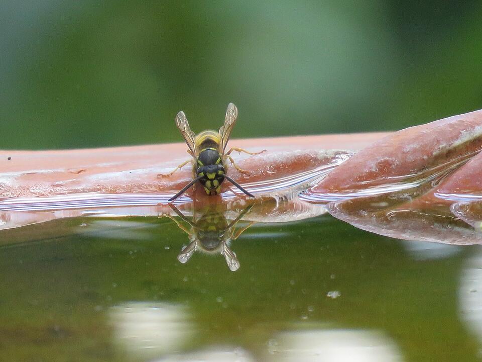 Die schönsten Fotos im August aus Haßfurt und Umgebung