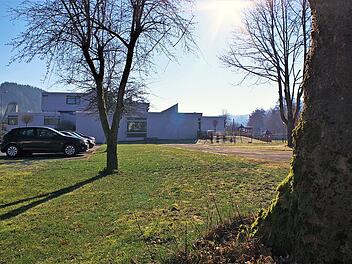 Der Wallenfelser Stadtrat will für mehr Artenvielfalt sorgen. Ausgesuchte Flächen wie hier am Bildungszentrum sollen zukünftig nur noch einmal im Jahr gemäht werden.