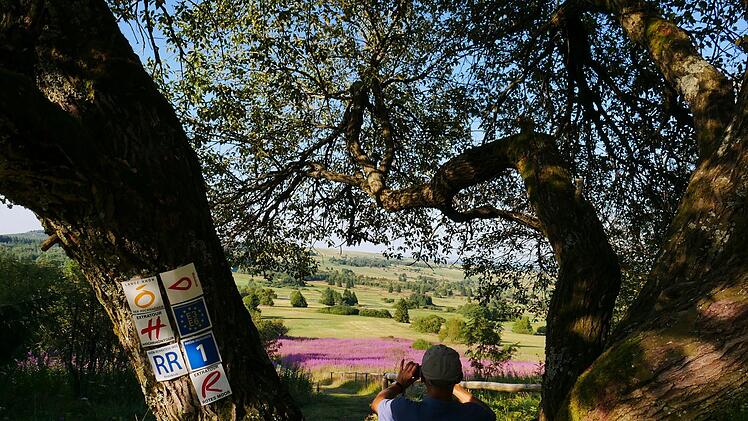 Ein beliebtes Fotomotiv: Die Weidenröschen in der Rhön.Heike Beudert