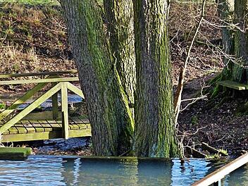Das am "Queckbrünnlein" angelegte Wasserbecken zum "Wassertreten" wurde in letzter Zeit des öfteren als Hundebad verwendet. Von einem Hundebesitzer wurde das Schild "Hunde baden verboten" einfach in "Hunde baden" umgewandelt. Foto: Gerold Snater