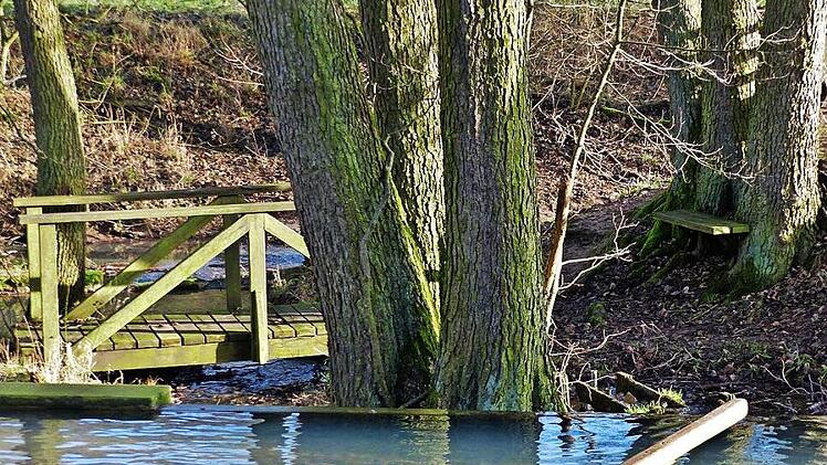 Das am "Queckbrünnlein" angelegte Wasserbecken zum "Wassertreten" wurde in letzter Zeit des öfteren als Hundebad verwendet. Von einem Hundebesitzer wurde das Schild "Hunde baden verboten" einfach in "Hunde baden" umgewandelt. Foto: Gerold Snater