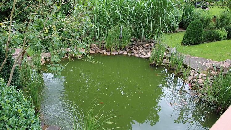 Eindrücke aus dem Garten der Familie Schmitt in Oberthulba. Ralf Ruppert