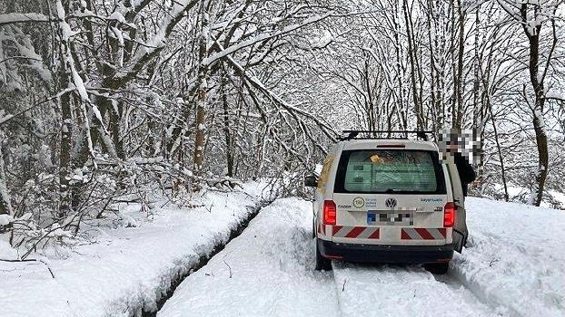 Auf dem Weg zur Kissinger Hütte war ein Baum in die Freileitung gefallen. Für einige Stunden war das beliebte Wanderziel ohne Strom.