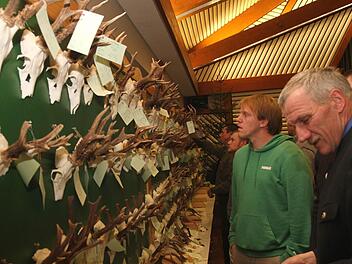 Bei den Hegelschauen stehen immer die Gehörne der abgeschossenen Rehböcke im Blickpunkt. Sie werden fachmännisch begutachtet: Hier der Leiter des Universitätsforstamtes Sailershausen und Jagdberater Hans Stark (rechtS) sowie die Jäger.