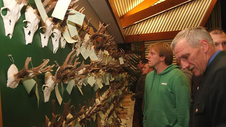 Bei den Hegelschauen stehen immer die Gehörne der abgeschossenen Rehböcke im Blickpunkt. Sie werden fachmännisch begutachtet: Hier der Leiter des Universitätsforstamtes Sailershausen und Jagdberater Hans Stark (rechtS) sowie die Jäger.