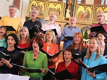 Die Gesangs- und Instrumentalgruppe Hammelburg beteiligt sich an den Kirchenmusiktagen. Foto: Archiv/Gerd Schaar