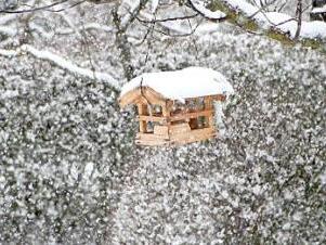 Im dichten Schneetreiben wagte sich kein Piepmatz vors Häuschen.