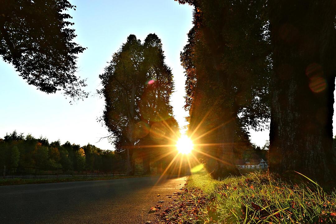 Herbst bei Schloss Greifenstein