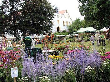 Der Park von Schloss Neuenbürg bot den idyllischen Rahmen für die Gartenausstellung. Foto: Richard Sänger