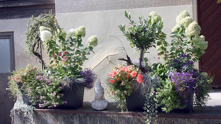 Foto: Richard Sänger