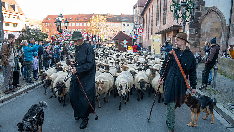 Hunderte Schafe ziehen durch Nürnberg