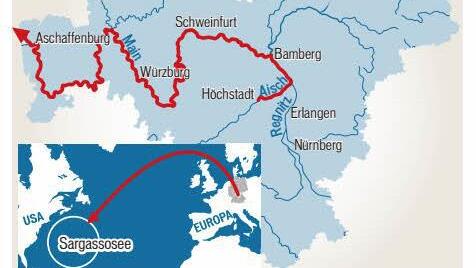 Der Wanderweg des Aals