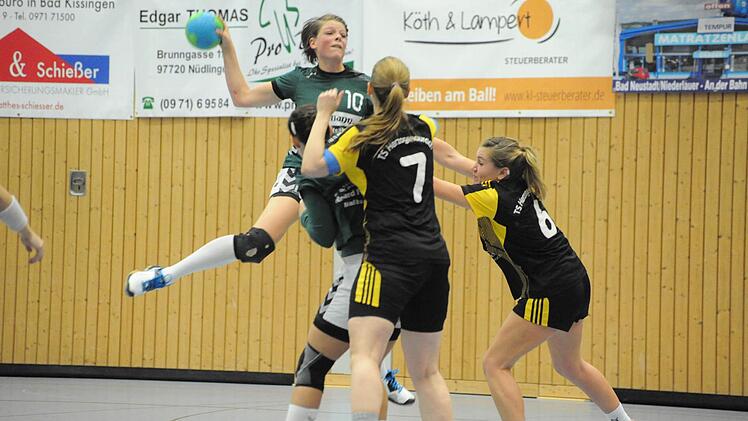 Sensationell: Mit 32:22 gewinnt die SG Garitz/Nüdlingen (grüne Trikots) gegen den Tabellendritten aus Herzogenaurach. Foto: Hopf