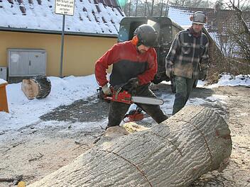 Der mächtige Stamm wird zersägt. Fotos: Sonja Adam