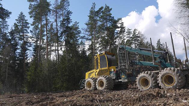 Im Wald oberhalb von Welsberg sind schon die ersten Waldfl&auml;chen gerodet worden. Derweil wehren sich die B&uuml;rger des Itzgr&uuml;nder Gemeindeteils gegen die Errichtung eines vierten Windrads f&uuml;r das "B&uuml;rgerwald"-Projekt. Foto: Berthold K&ouml;hler