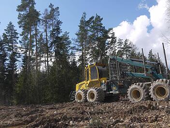 Im Wald oberhalb von Welsberg sind schon die ersten Waldflächen gerodet worden. Derweil wehren sich die Bürger des Itzgründer Gemeindeteils gegen die Errichtung eines vierten Windrads für das "Bürgerwald"-Projekt. Foto: Berthold Köhler