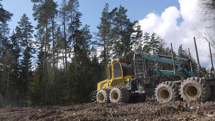 Im Wald oberhalb von Welsberg sind schon die ersten Waldflächen gerodet worden. Derweil wehren sich die Bürger des Itzgründer Gemeindeteils gegen die Errichtung eines vierten Windrads für das "Bürgerwald"-Projekt. Foto: Berthold Köhler